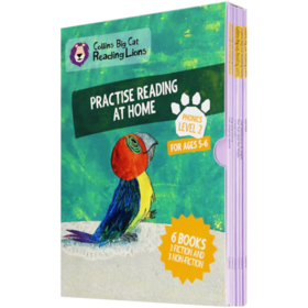 第二级柯林斯大猫英语分级阅读套装 英文版正版进口自然拼读 phonics教材 英文原版书Collins Big Cat Phonics 2 Practice Reading