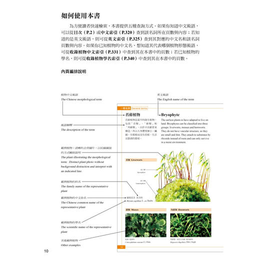 【中商原版】植物学中英百科图典 台版原版 彭镜毅 猫头鹰 商品图1