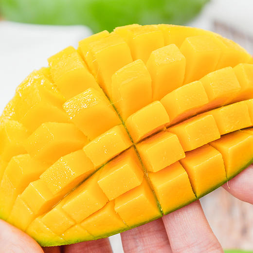 当季广西玉芒| 香甜水润 肉质肥厚 大口啃的芒果才爽口5斤装