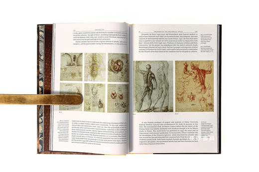 The Anatomical Venus: Wax / Sex / God / Death 解剖学艺术 商品图2