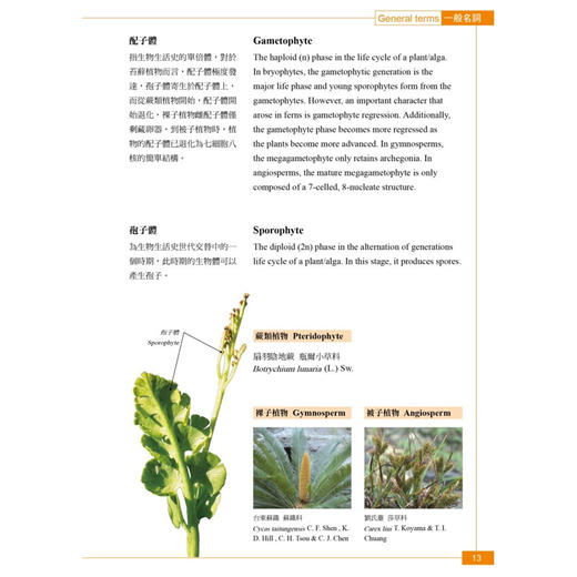 【中商原版】植物学中英百科图典 台版原版 彭镜毅 猫头鹰 商品图4