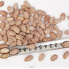 金伶俐瓜蒌籽原味88g（扶贫产品） 商品缩略图2