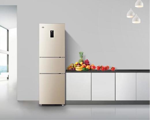晶弘·三门冰箱 231L  BCD-231WETC/时代金 商品图2