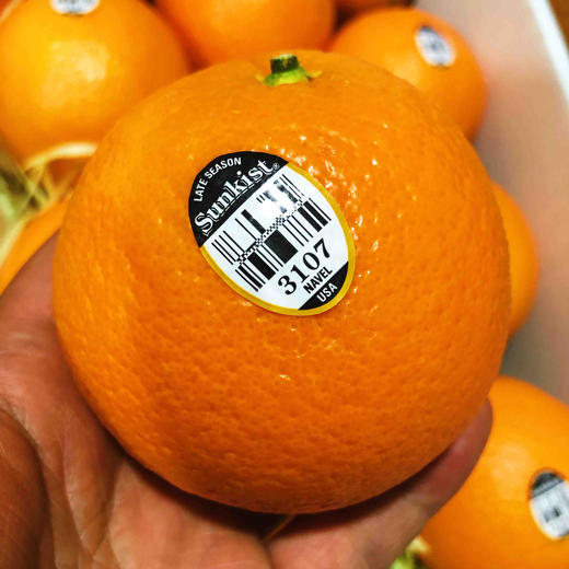 新奇士3107甜橙 很好吃的橙子。 商品图2