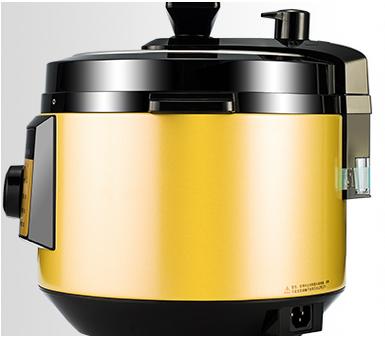 【预售】格力·大松 电压力锅 CY-6016C (黑+香槟金) 商品图1