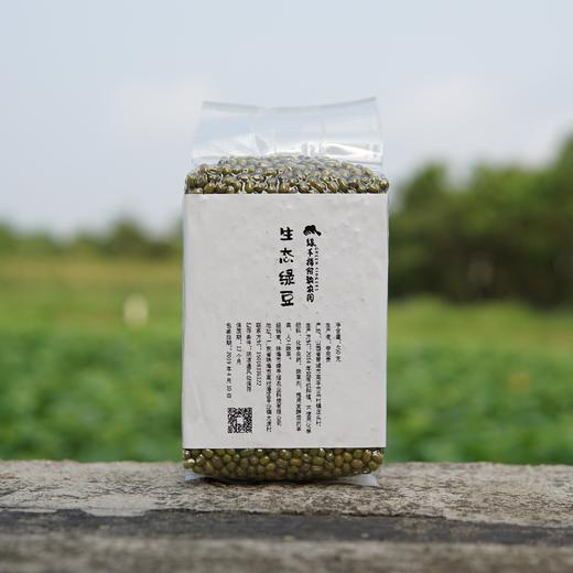 生态绿豆 | 合作生产*Eco-mung bean | Coproduction 商品图3