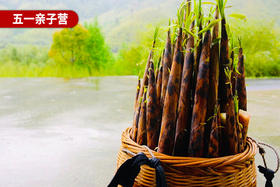五一亲子营，3天3晚 | 竹林山水画中游，挖笋采茶正当时！