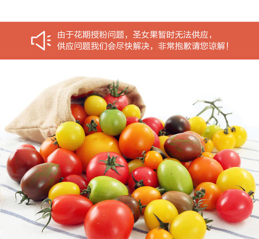 物本源·无土栽培多彩圣女果 七彩樱桃小西红柿  330g 商品图0