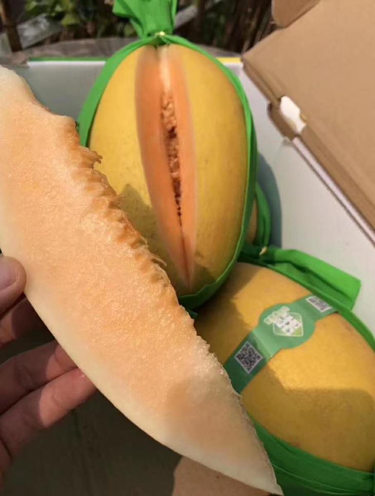 西域红冠香妃蜜瓜皮薄爽脆无渣蜜甜一件16斤左右毛重4个装区内包邮