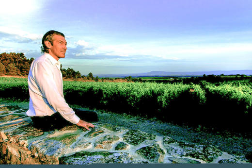 吉哈伯通第六感干白Gerard Bertrand 6eme Sens Blanc Pays d'Oc 商品图1