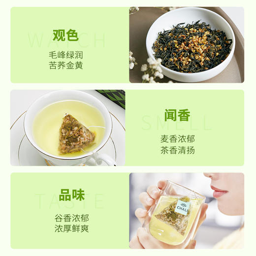 CHALI 荞麦绿茶 袋泡茶 茶里公司出品 商品图1