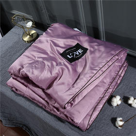 TY-新款冰丝真丝夏被空调被可水洗双人单人薄被 TZW