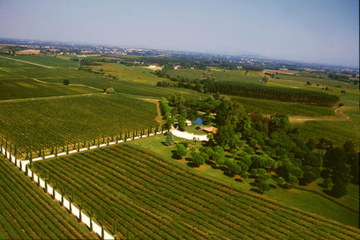 意大利卓林普劳塞考起泡葡萄酒 Zonin prosecco brut DOC 商品图2