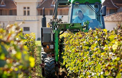 金钟庄园干红葡萄酒2014  Chateau Angelus, Saint-Emilion Grand Cru, France 商品图4