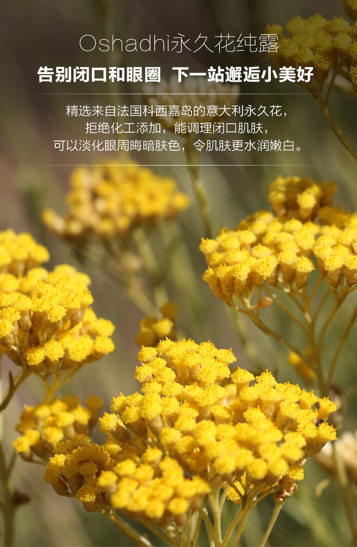 oshadhi德国o家蜡菊永久花纯露白皙花水补水爽肤水化妆品天然正品