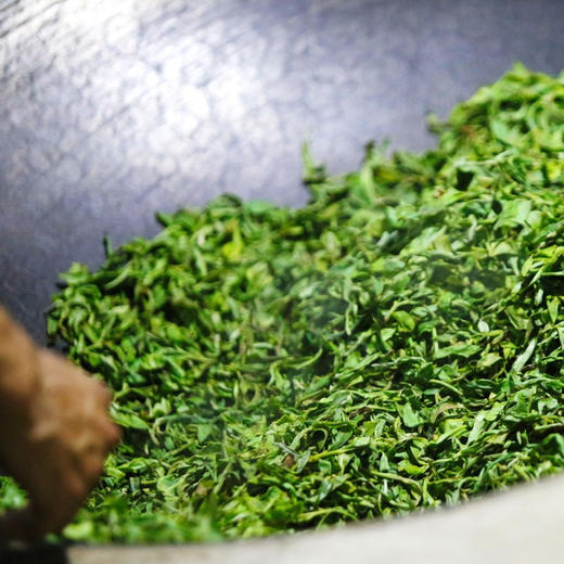 200年以上冰岛古树茶-普洱生茶茶饼(2019)/357克 商品图3