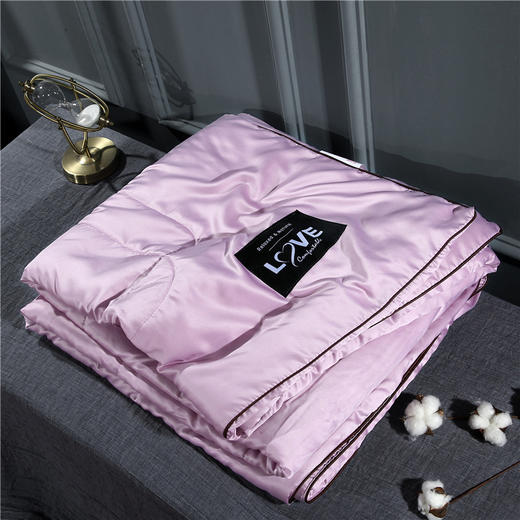 TY-新款冰丝真丝夏被空调被可水洗双人单人薄被 TZW 商品图3