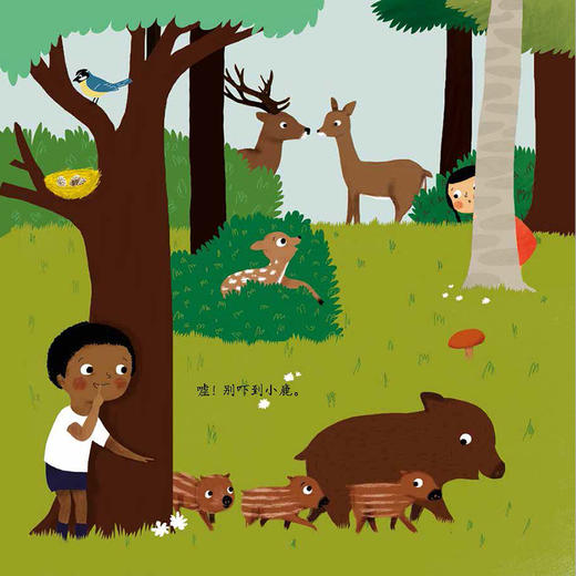 【2-7岁】 小手转转 动物世界 玛丽帕瑞缇 著 中信出版社图书 正版书籍 商品图3