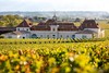 金钟庄园干红葡萄酒2014  Chateau Angelus, Saint-Emilion Grand Cru, France 商品缩略图1