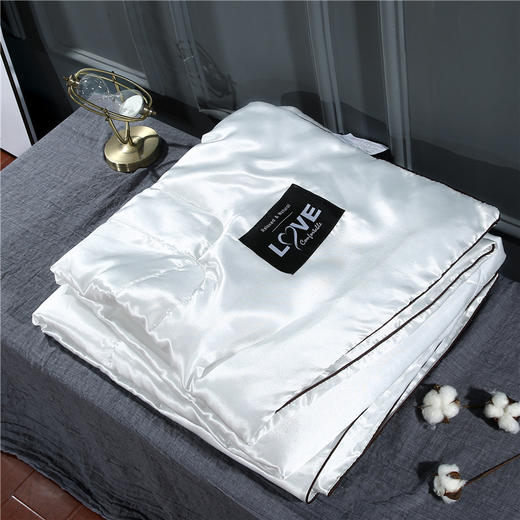 TY-新款冰丝真丝夏被空调被可水洗双人单人薄被 TZW 商品图2