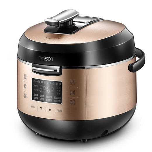 格力/大松 电压力锅 cyf-5001s 单胆 - 厦门格力电器