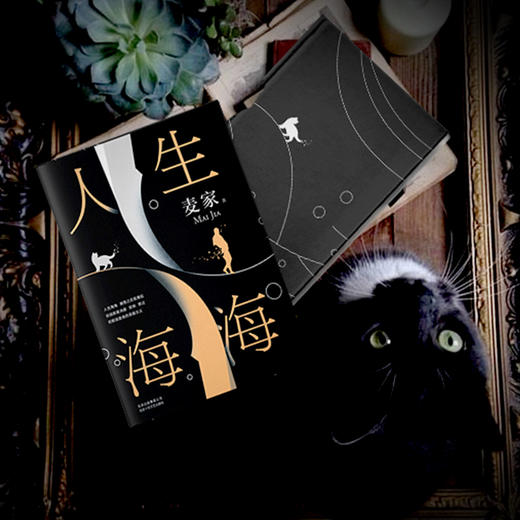 （永久下架）限量签章版 麦家新书《人生海海》 商品图0