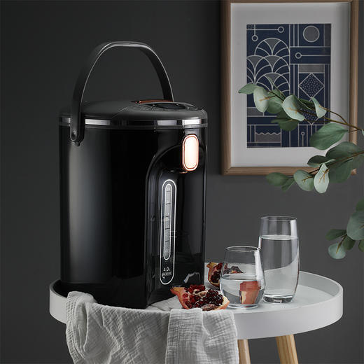 EHA-1542E 电热开水瓶 商品图5