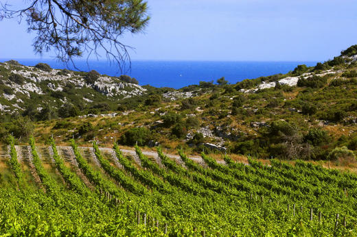 吉哈伯通第六感干白Gerard Bertrand 6eme Sens Blanc Pays d'Oc 商品图2