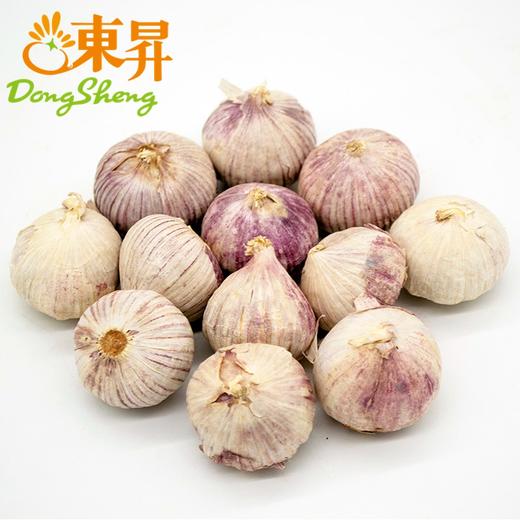 东升农场  独蒜 独子蒜  300G  广州蔬菜新鲜配送 商品图1