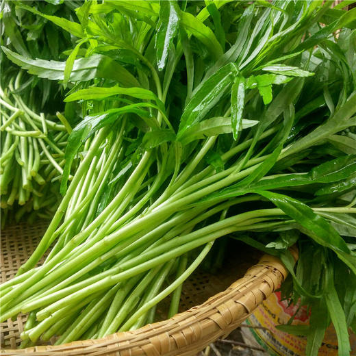 阳新泥蒿500g