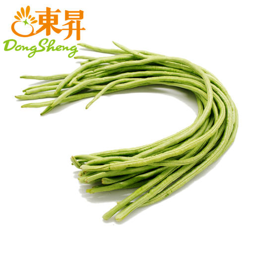 东升农场 青豆角 长豆角裙带豆豇豆 广州蔬菜新鲜配送 300g 商品图0