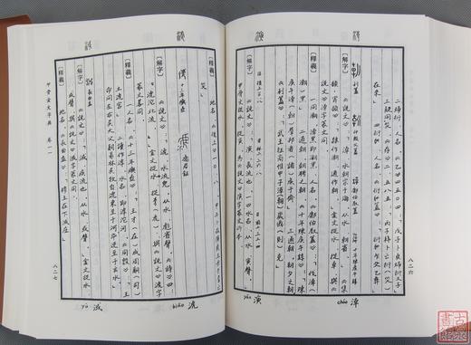 《甲骨金文字典》 商品图4