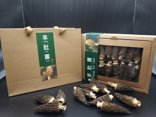 巴塘 ▏干制羊肚菌 商品图6