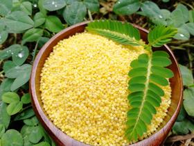 【2斤试吃装】老种子小米  宝宝米  月子米