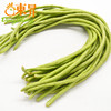 东升农场 青豆角 长豆角裙带豆豇豆 广州蔬菜新鲜配送 300g 商品缩略图1