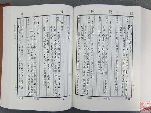 《甲骨金文字典》 商品图3