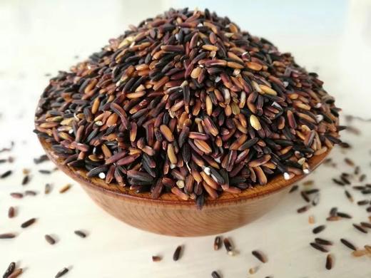 【2斤试吃装】有机五色糙米 （黑、红、紫、黄、白） 宝宝熬粥米 料理机打米粉、米奶 商品图2