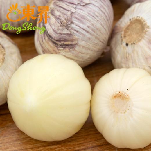 东升农场  独蒜 独子蒜  300G  广州蔬菜新鲜配送 商品图2