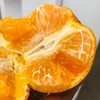 橘子 商品缩略图2