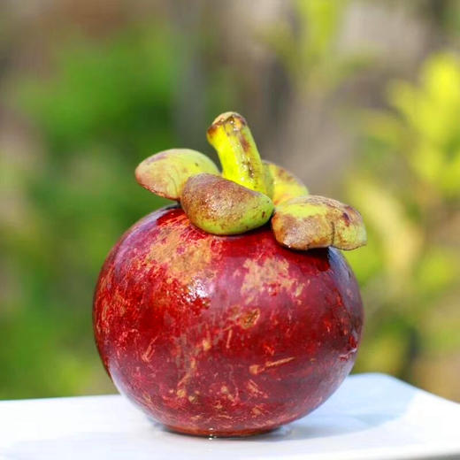 【降火佳品】2a迷你泰国山竹新鲜水果 进口水果 甜嫩