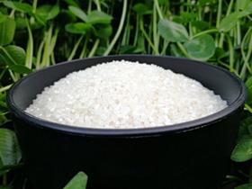 【2斤试吃装】健康宝宝粥米辅食