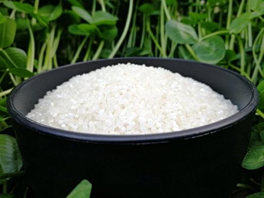 【2斤试吃装】健康宝宝粥米辅食 商品图0