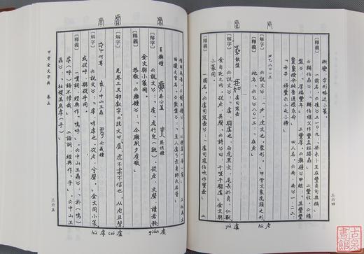 《甲骨金文字典》 商品图9