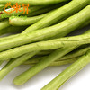 东升农场 青豆角 长豆角裙带豆豇豆 广州蔬菜新鲜配送 300g 商品缩略图2