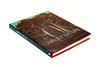 Unruly Nature - The Landscapes of Theofire Rousseau / 难以驾驭的自然：西奥多·卢梭的风景画/巴比松画派 商品缩略图1