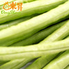东升农场 青豆角 长豆角裙带豆豇豆 广州蔬菜新鲜配送 300g 商品缩略图3