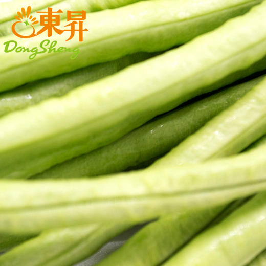 东升农场 青豆角 长豆角裙带豆豇豆 广州蔬菜新鲜配送 300g 商品图3