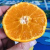 橘子 商品缩略图0