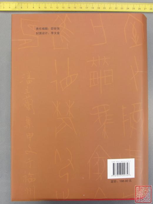《甲骨金文字典》 商品图10