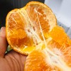 橘子 商品缩略图1